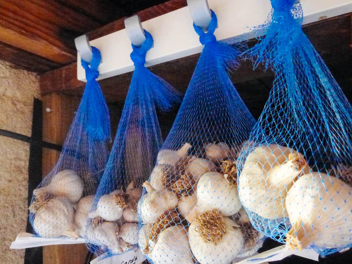 Garlic stored and hung in nylon mesh bags