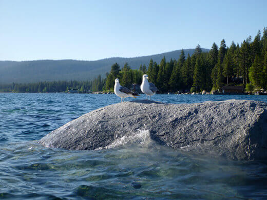 North Shore of Lake Tahoe