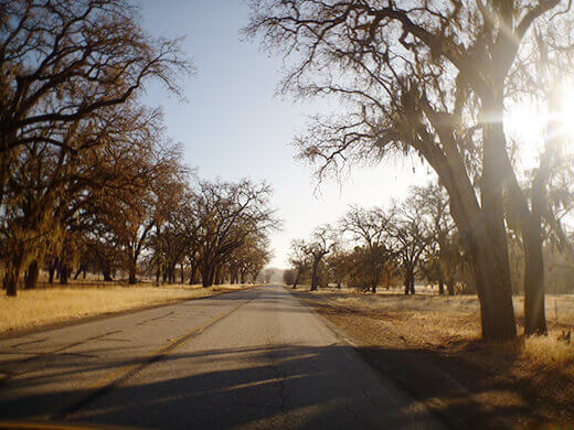 On the Central Valley Back Roads