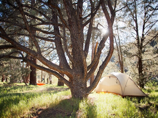 Kayak camping on the East Fork Carson River