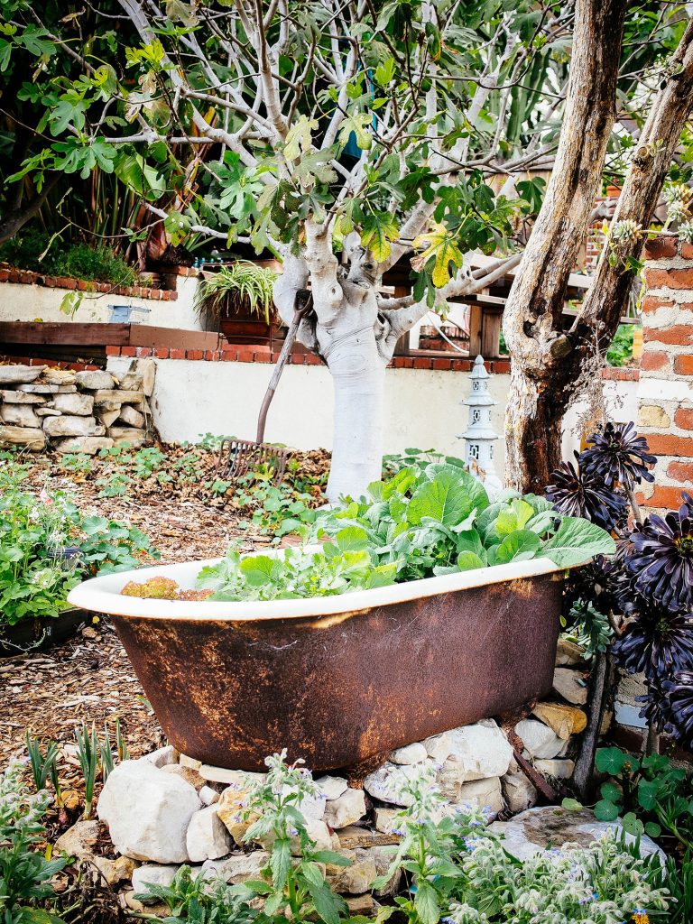 The No-Dig Garden Method: Make Amazing Soil With Less Work