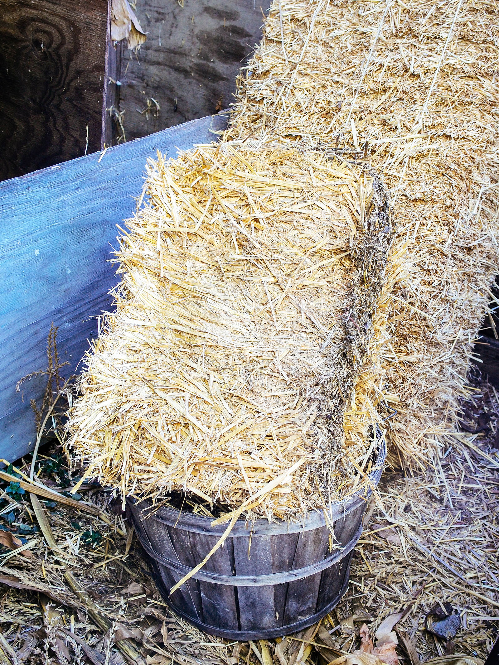 Bales of straw