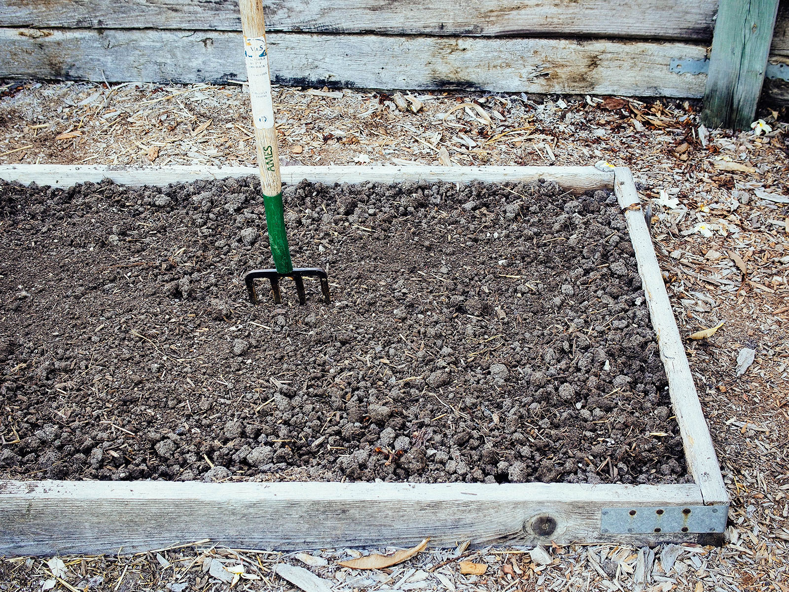 Turn over the soil and remove all debris