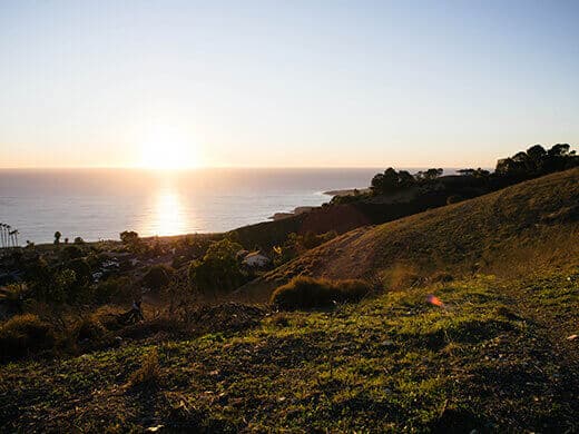 A Hike to Cure the Holidaze