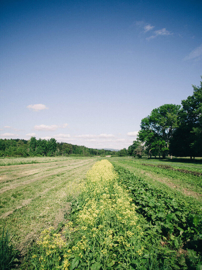 Exploring the First CSA Farm in the Country