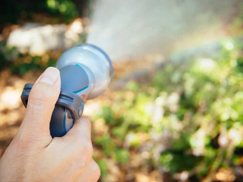 Give your garden a gentle overhead shower when needed