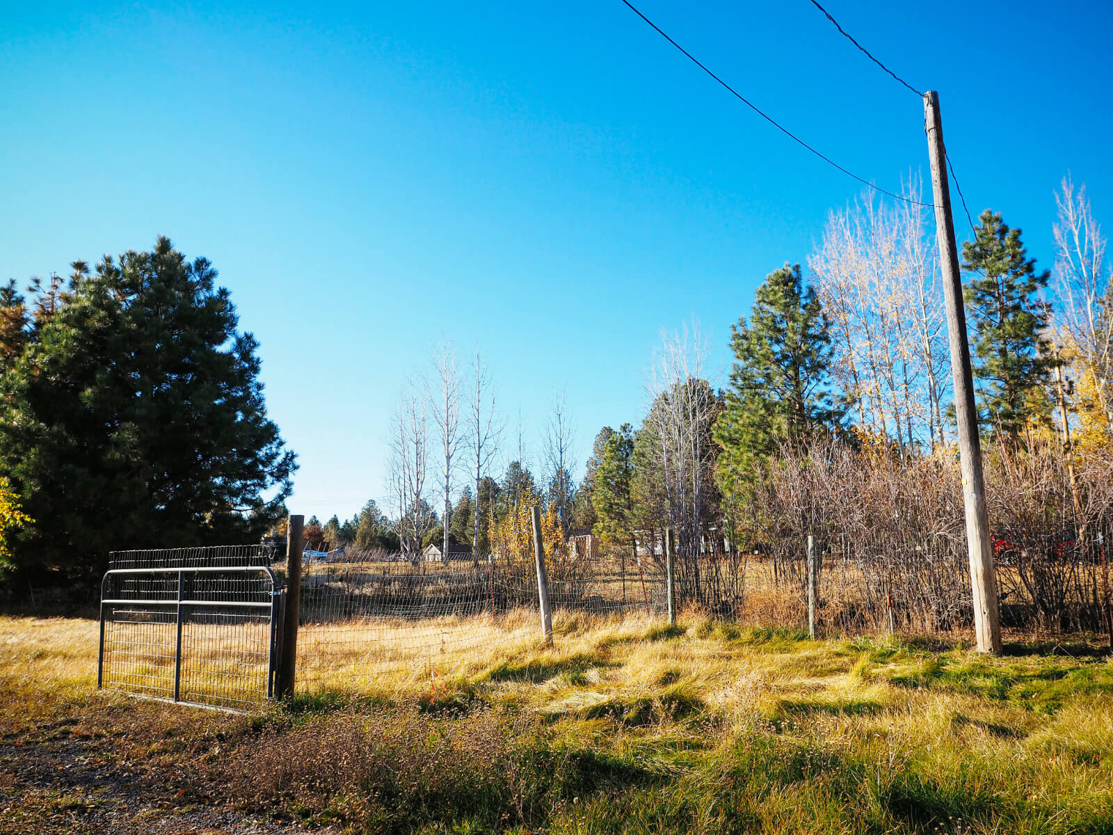 How we found land to build on — and how you can, too