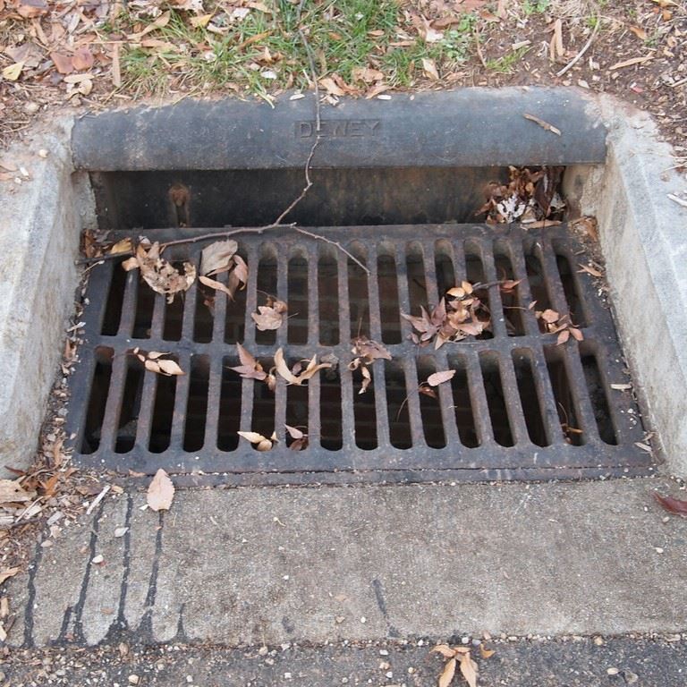 Storm Drain in Street