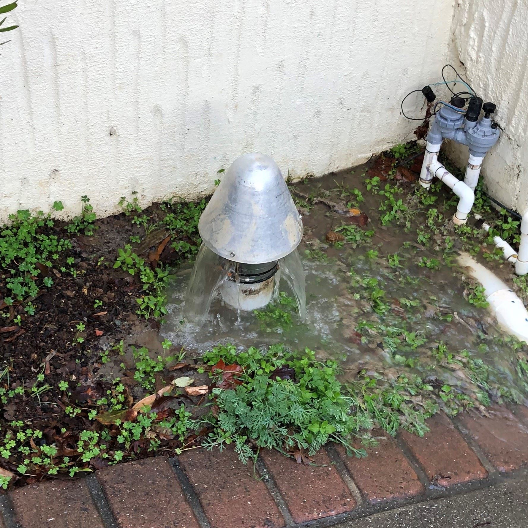 Sewer Overflow